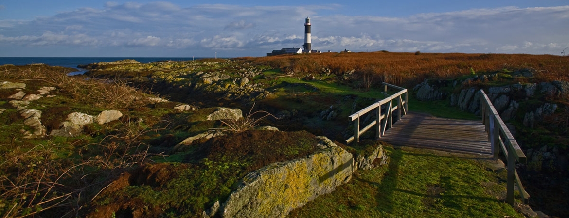 Mew Island Lighthouse