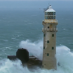 Commit to Sustainable Operations, Climate Action, Protection of the Environment and Biodiversity